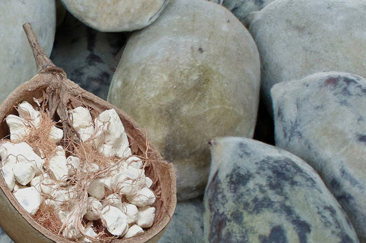 Baobab: Our Secret Ingredient