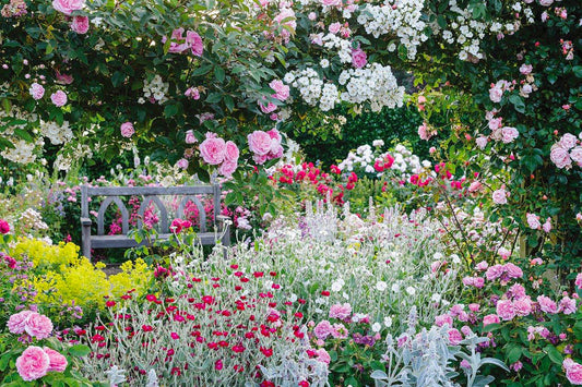 9 reasons to visit the Chelsea Flower Show this year